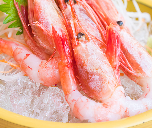 sushi nigiri de salmón