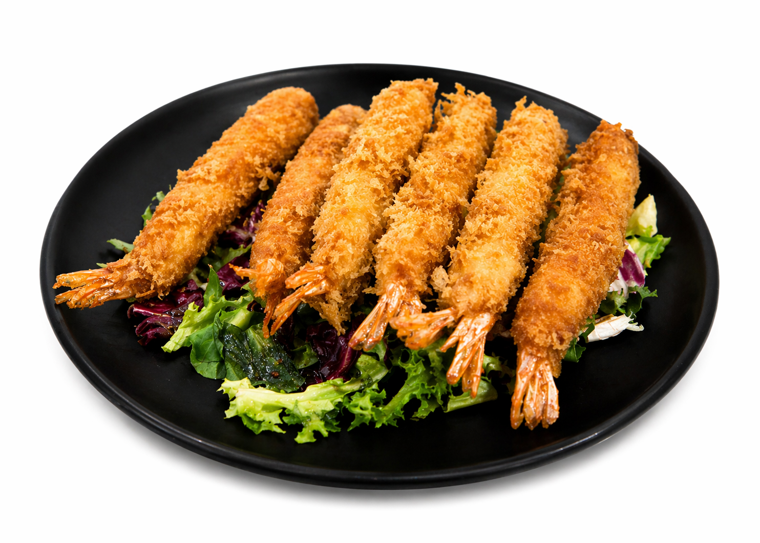 EBI FRY X6