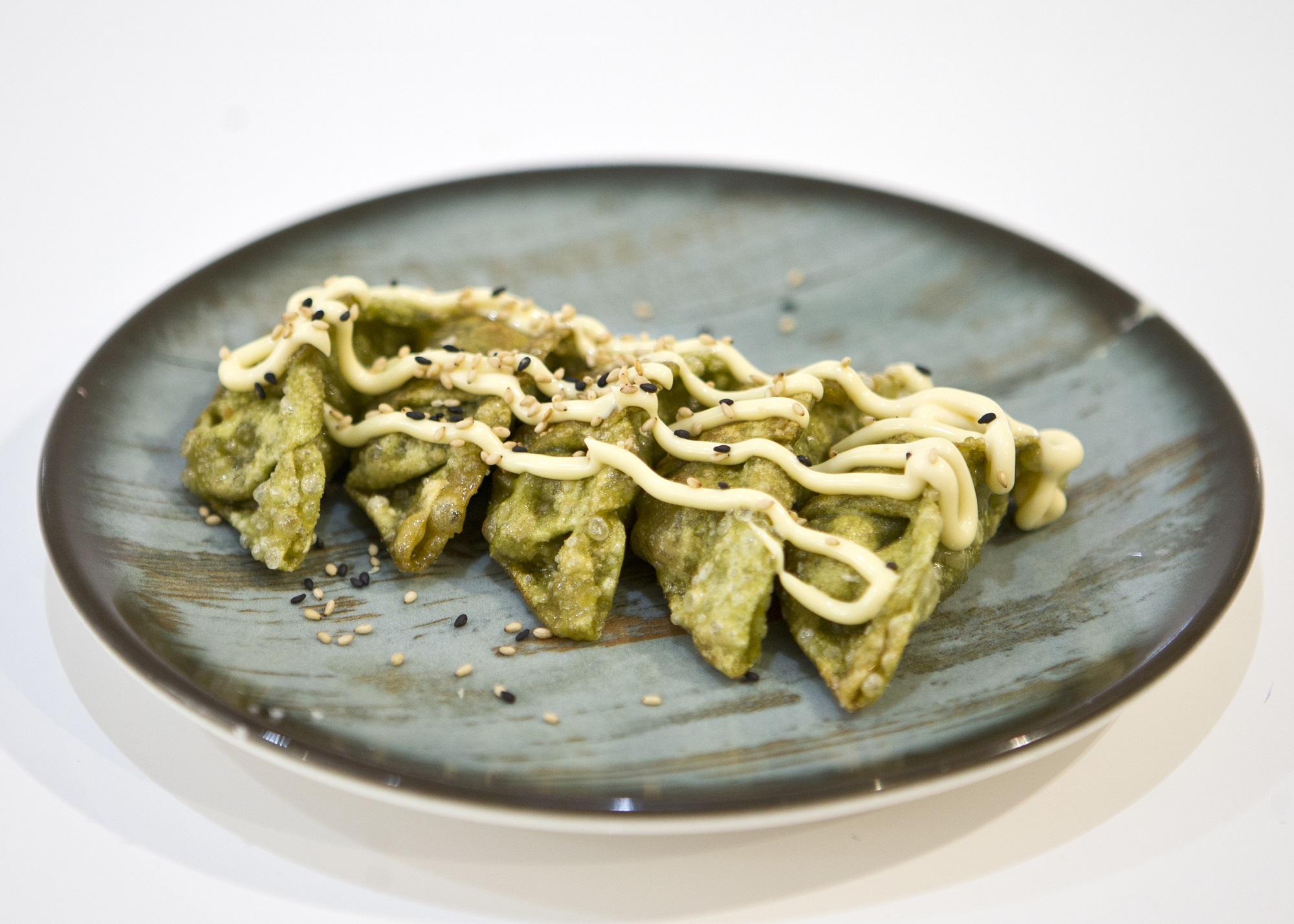 GYOZA DE VERDURA FRITO X5